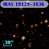 IRAS 19129-1836
