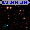 IRAS 19170-1836