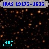 IRAS 19175-1635