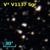 V* V1137 Sgr
