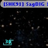 [SHK91] SagDIG 1