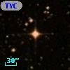 TYC 6313-1385-1