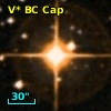 V* BC Cap