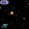 IRAS 03164+6559