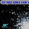 Cl* NGC 6981    SAW V6