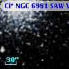 Cl* NGC 6981    SAW V10