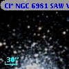 Cl* NGC 6981    SAW V19