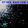 Cl* NGC 6981    SAW V26