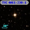 TYC 4061-230-1