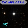 TYC 4061-273-1