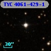 TYC 4061-429-1