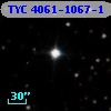 TYC 4061-1067-1