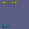 BD-12  4247