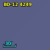 BD-12  4249