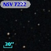 NSV  7222
