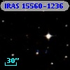 IRAS 15560-1236