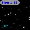 Plaut 1-75