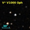 V* V1000 Oph