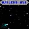 IRAS 16289-1515