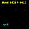 IRAS 16287-1412