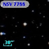 NSV  7788