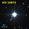 HR   518