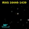 IRAS 16446-1439