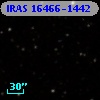 IRAS 16466-1442