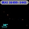IRAS 16499-1443