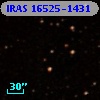 IRAS 16525-1431