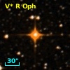V* R Oph