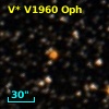 V* V1960 Oph