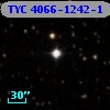 TYC 4066-1242-1