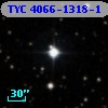 TYC 4066-1318-1