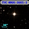 TYC 4066-1665-1