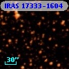 IRAS 17333-1604