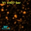 V* V407 Ser