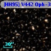 [HH95] V442 Oph-36