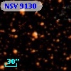 NSV  9130