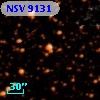 NSV  9131