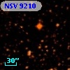 NSV  9210