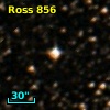 Ross  856