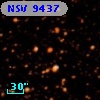 NSV  9437
