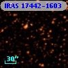 IRAS 17442-1603
