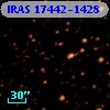 IRAS 17442-1428