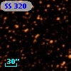 SS 320