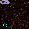 LDN  290