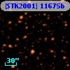 [STK2001] 11675b