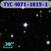 TYC 4071-1019-1