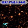 IRAS 17481-1443